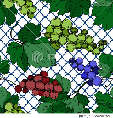 Vector Grape berry healthy food. Black and white engraved ink art. Seamless background pattern. Vector Grape berry healthy food. Black and white engraved ink art. Seamless background pattern. 59896709