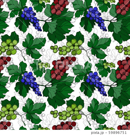 Vector Grape berry healthy food. Black and white engraved ink art. Seamless background pattern. 59896751
