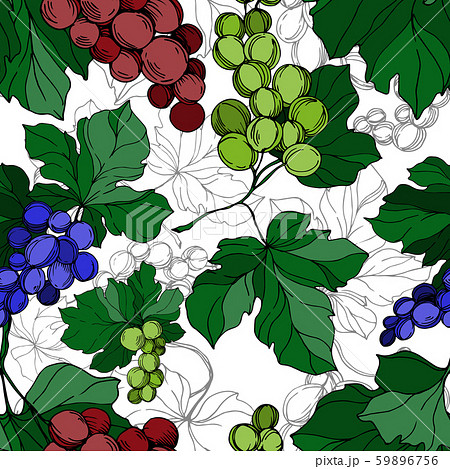 Vector Grape berry healthy food. Black and white engraved ink art. Seamless background pattern. 59896756