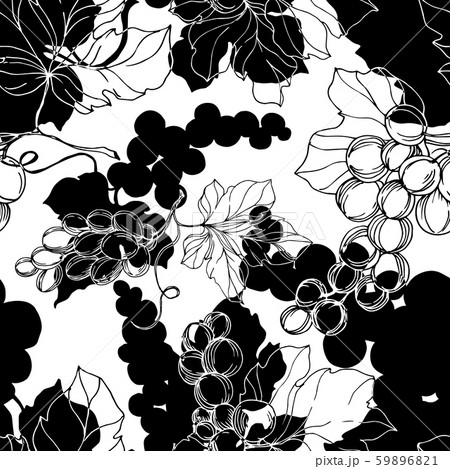 Vector Grape berry healthy food. Black and white engraved ink art. Seamless background pattern. 59896821