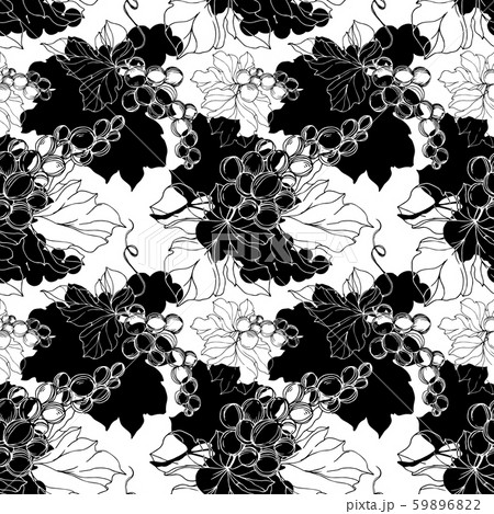 Vector Grape berry healthy food. Black and white engraved ink art. Seamless background pattern. 59896822