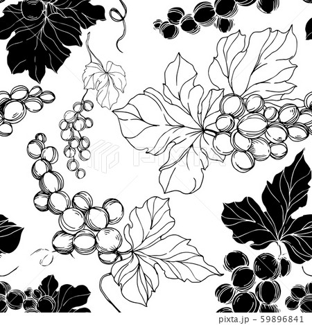 Vector Grape berry healthy food. Black and white engraved ink art. Seamless background pattern. 59896841