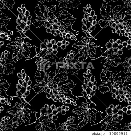Vector Grape berry healthy food. Black and white engraved ink art. Seamless background pattern. Vector Grape berry healthy food. Black and white engraved ink art. Seamless background pattern. 59896911
