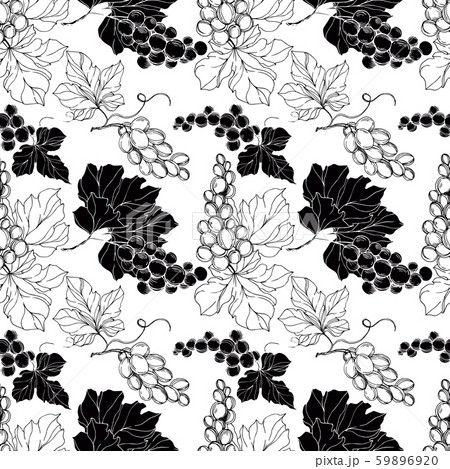 Vector Grape berry healthy food. Black and white engraved ink art. Seamless background pattern. Vector Grape berry healthy food. Black and white engraved ink art. Seamless background pattern. 59896920