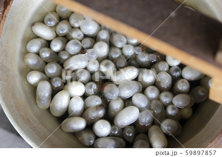 white silkworm cocoons in pot, The process of 59897857