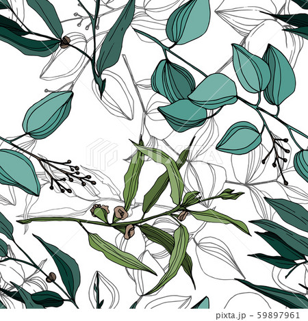Vector Eucalyptus tree leaves jungle botanical. Black and white engraved ink art. Seamless 59897961