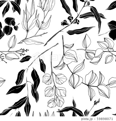 Vector Eucalyptus tree leaves jungle botanical. Black and white engraved ink art. Seamless 59898071