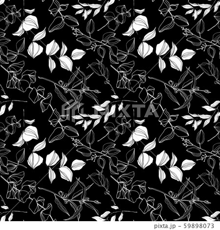 Vector Eucalyptus tree leaves jungle botanical. Black and white engraved ink art. Seamless 59898073