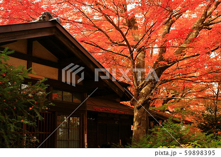 紅葉の一ノ倉邸 59898395