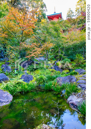 高野寺の紅葉　【佐賀県武雄市】 59900420