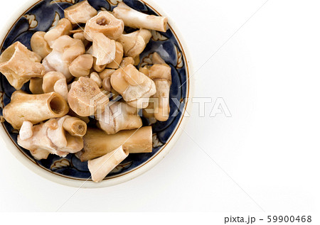 豚足の骨 59900468