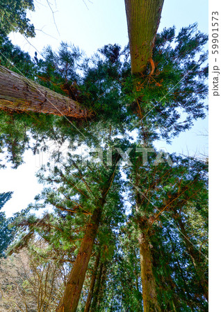 陸 土地 ら 59901573