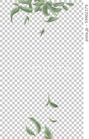 Tea leaves dancing in the bath 59902379