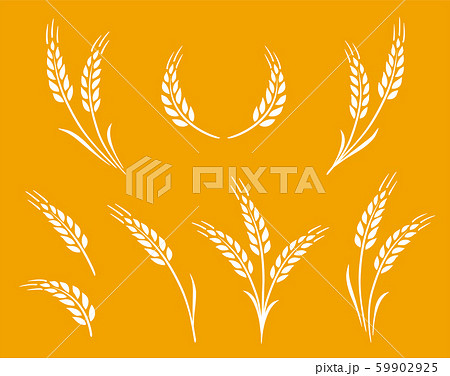 natural white wheat ears icon logo set 59902925
