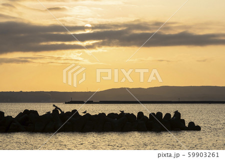 佐渡島の夕日 59903261