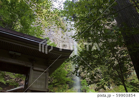 壇鏡神社の壇鏡の滝(雄滝)(島根県隠岐郡) 壇鏡神社の壇鏡の滝(雄滝)(島根県隠岐郡) 59903854
