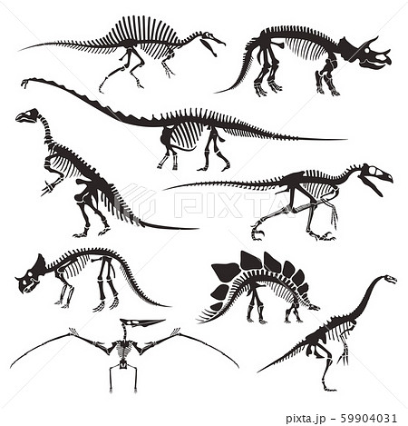 Prehistoric Animals Bones Dinosaur Skeletons Stock Illustration