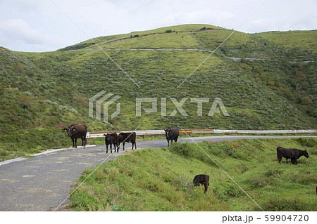 知夫里島の赤ハゲ山付近からの眺め（島根県隠岐郡知夫村） 59904720