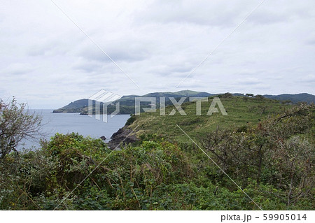 知夫村の島津島（島根県隠岐郡知夫村） 59905014