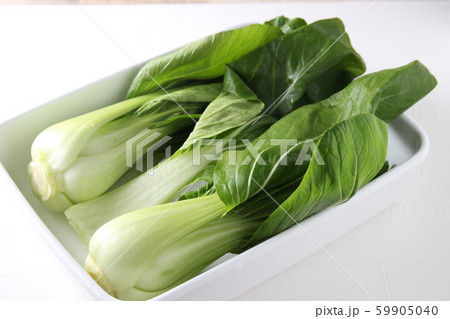 ちんげんさい 59905040