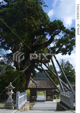 隠岐の島の玉若酢命神社(島根県隠岐郡隠岐の島町) 隠岐の島の玉若酢命神社(島根県隠岐郡隠岐の島町) 59905601