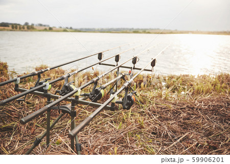 Carp fishing rods standing on special tripods. Expensive coils and a radio system of crochet Carp fishing rods standing on special tripods. Expensive coils and a radio system of crochet 59906201