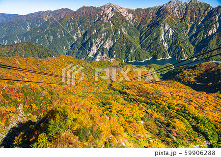 《富山県》紅葉の黒部平・立山黒部アルペンルート 59906288