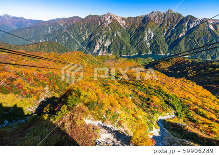 《富山県》紅葉の黒部平・立山黒部アルペンルート 59906289
