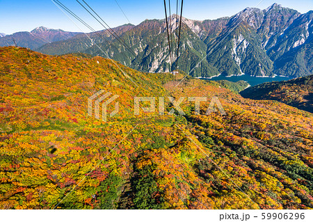 《富山県》紅葉の黒部平・立山黒部アルペンルート 《富山県》紅葉の黒部平・立山黒部アルペンルート 59906296