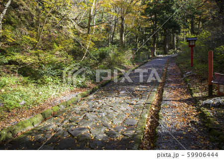 大神山神社奥宮参道(鳥取県大山) 大神山神社奥宮参道(鳥取県大山) 59906444
