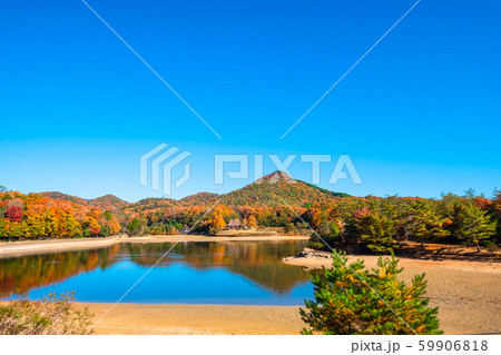 有馬富士公園の紅葉 59906818