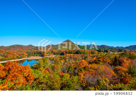 有馬富士公園の紅葉 59906832