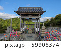 恐山 59908374