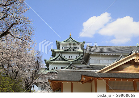 名古屋城 春の名古屋城 名古屋城天守閣 なごやじょう 名古屋城 春の名古屋城 名古屋城天守閣 なごやじょう 59908668