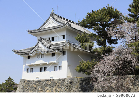 名古屋城 春の名古屋城 隅櫓 なごやじょう 名古屋城 春の名古屋城 隅櫓 なごやじょう 59908672