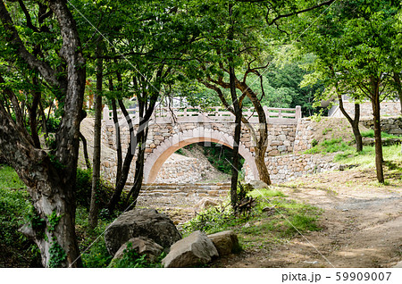 韓国 伝統 木 59909007