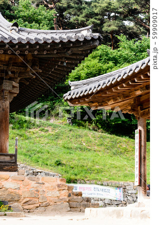 木 伝統 韓国 59909017