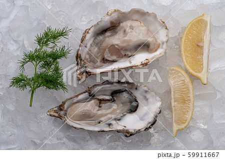 Fresh oysters platter with sauce and lemon 59911667