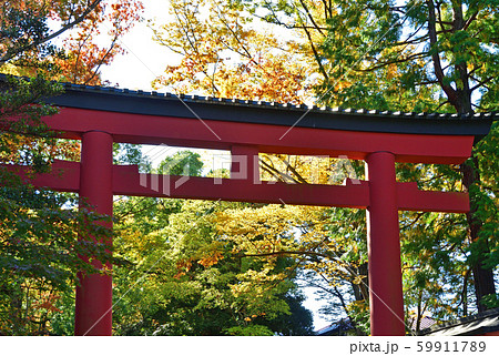 大宮氷川神社・境内入り口の三の鳥居 59911789