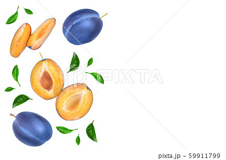 fresh blue plum and half with leaves isolated on white background with copy space for your text. Top 59911799
