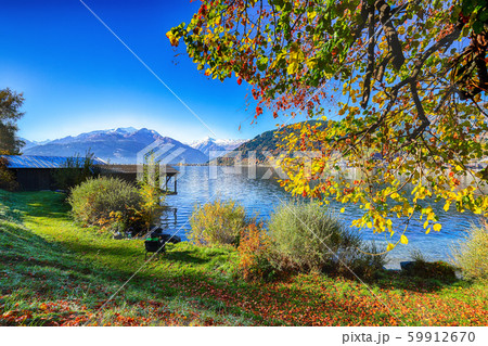 Spectacular autumn view of lake and trees in city 59912670