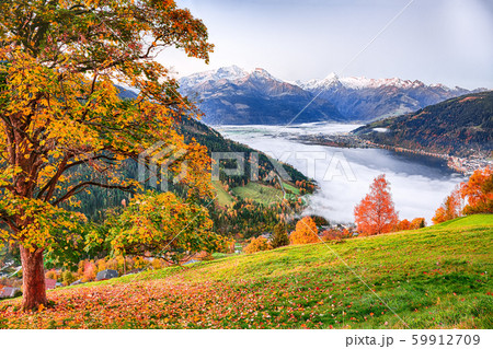 Spectacular autumn view of lake meadows trees and Spectacular autumn view of lake meadows trees and 59912709