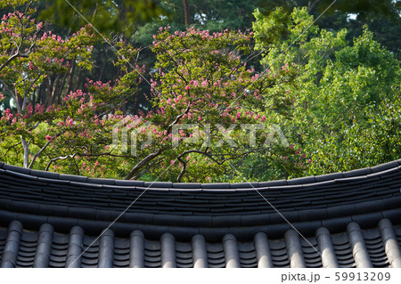 タイル 曲線 59913209