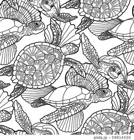 Seamless pattern of graphic swimming turtles in black and white colors. Seamless pattern of graphic swimming turtles in black and white colors. 59914330