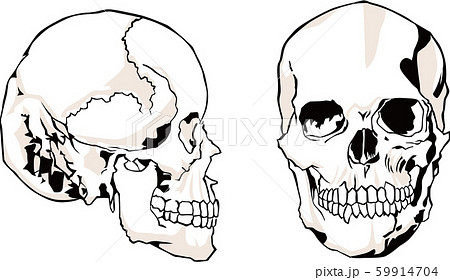 浮世絵 骸骨 その1のイラスト素材
