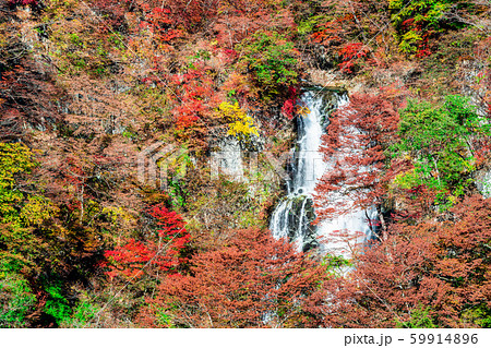 栃木　日光　霧降の滝（秋） 59914896