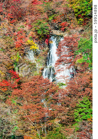 栃木 日光 霧降の滝(秋) 栃木 日光 霧降の滝(秋) 59914898