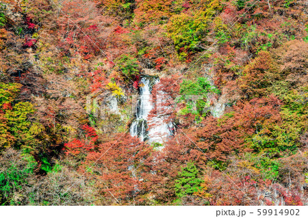 栃木　日光　霧降の滝（秋） 59914902