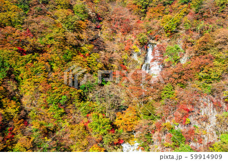 栃木 日光 霧降の滝(秋) 栃木 日光 霧降の滝(秋) 59914909