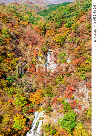 栃木　日光　霧降の滝（秋） 59914914